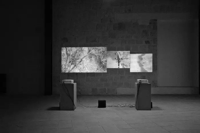 Melis Boyacı&Serdar Yılmaz Work 2